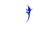 Wild Dragon