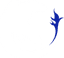 Wild Dragon