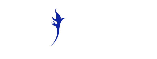 Wild Dragon — Zachary Gaetano
